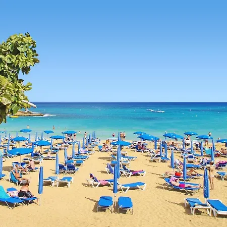 Queen Lydia 프로타라스